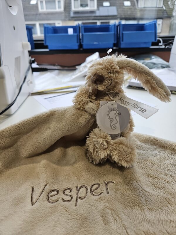 Mini Rabbit Richie met doekje